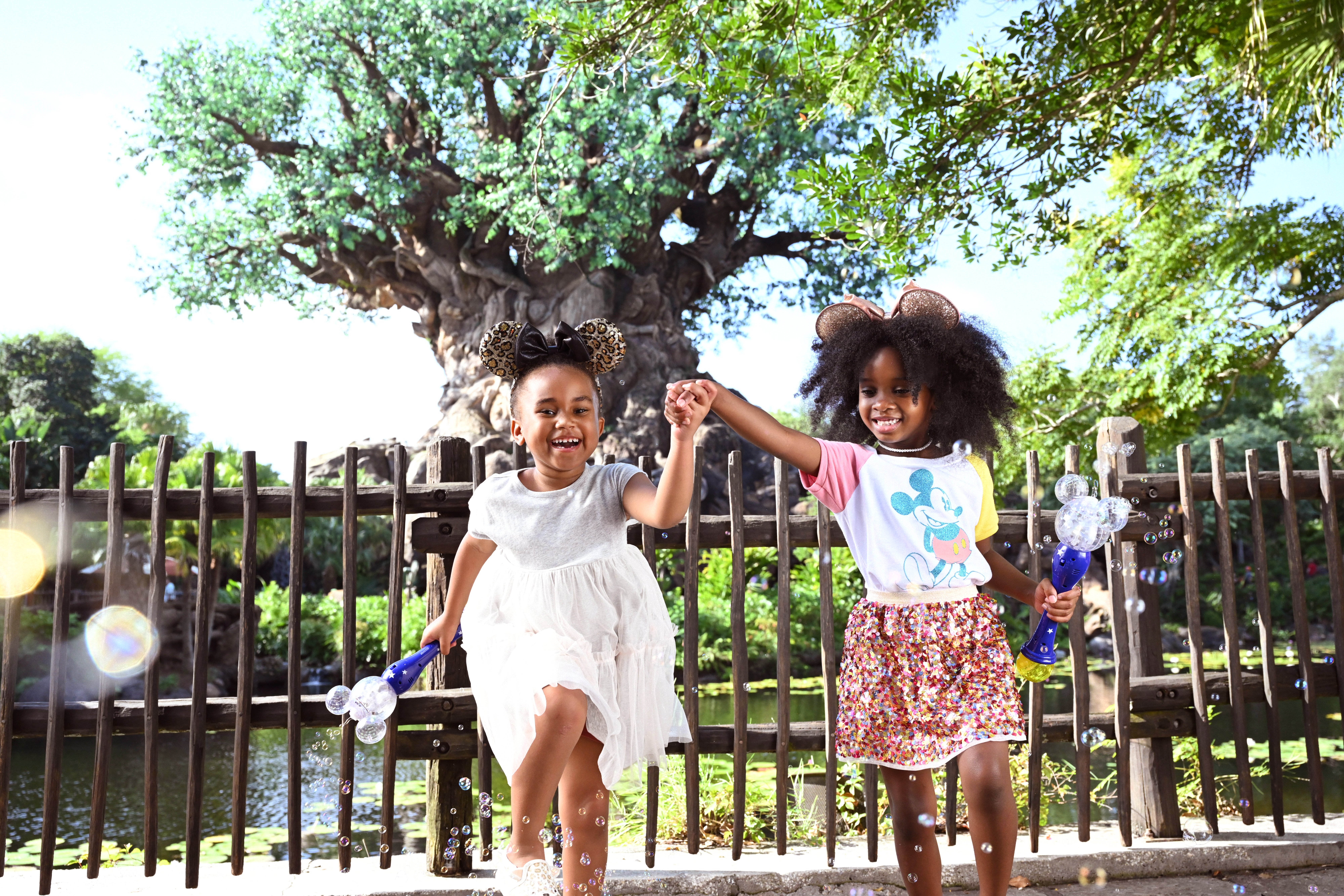 Animal Kingdom Disney World