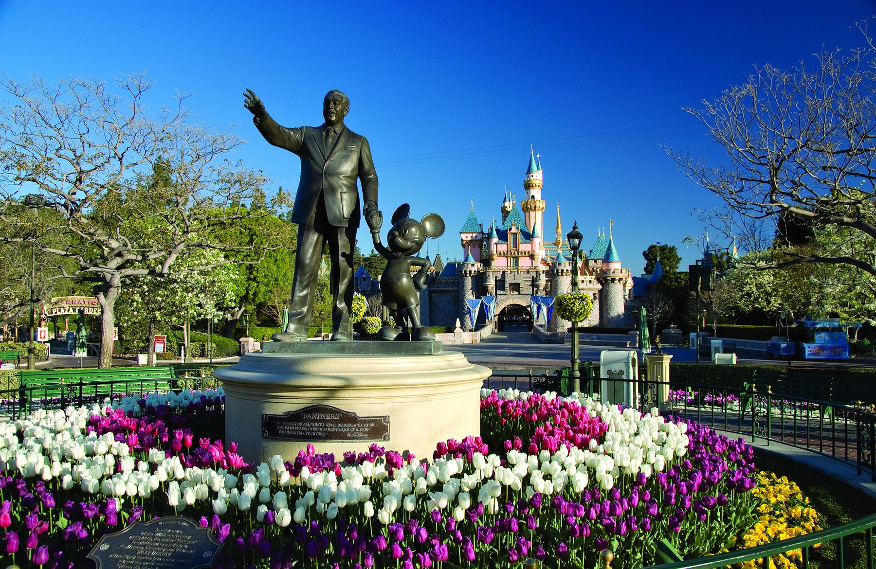 10 Things Nobody Told Me Before Disney World