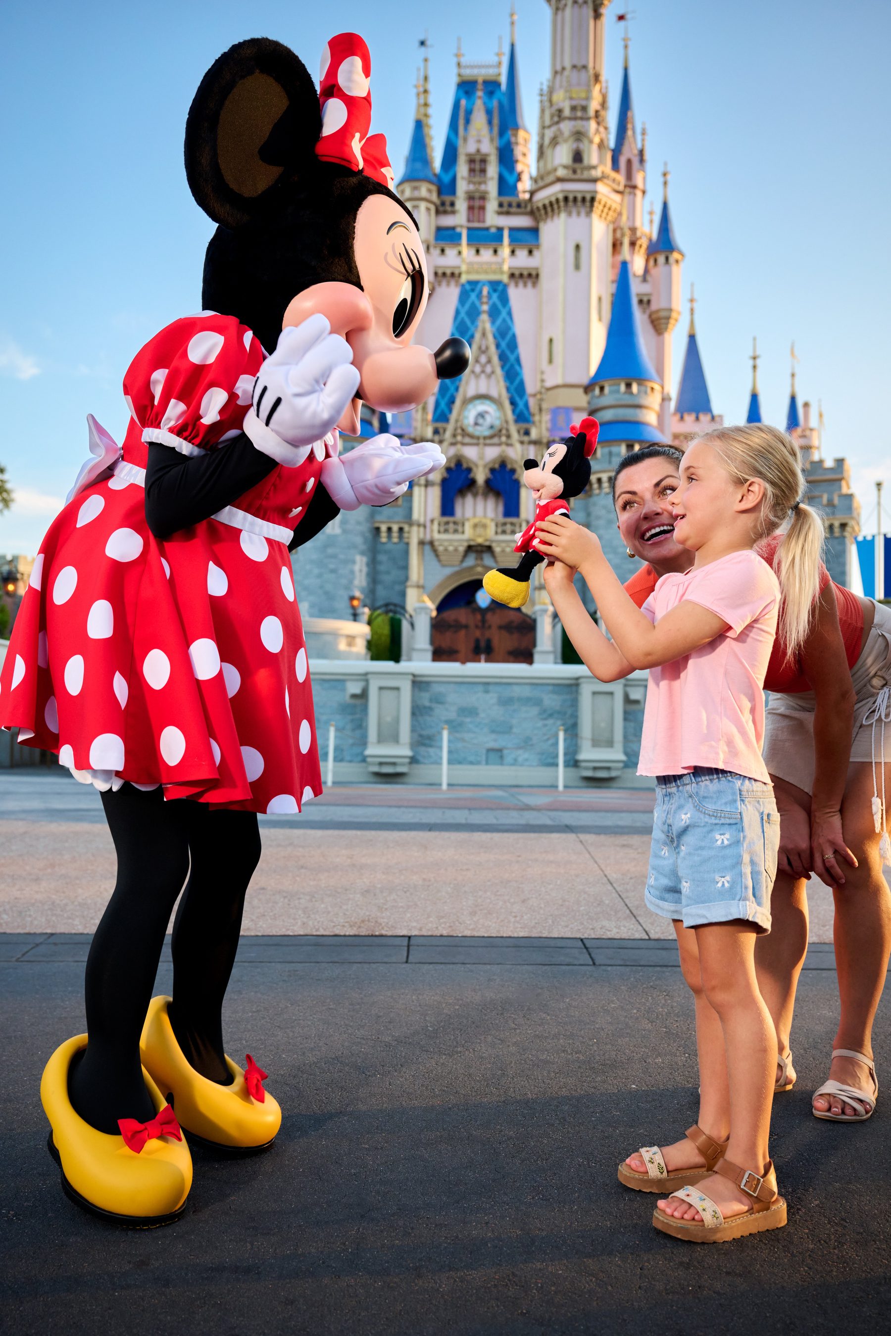 Magic Kingdom Castle at Walt Disney World